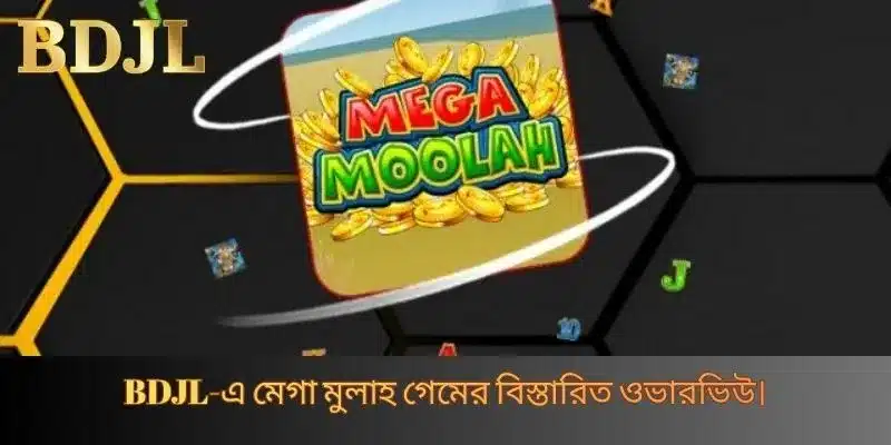 BDJL-এ মেগা মুলাহ গেমের বিস্তারিত ওভারভিউ।