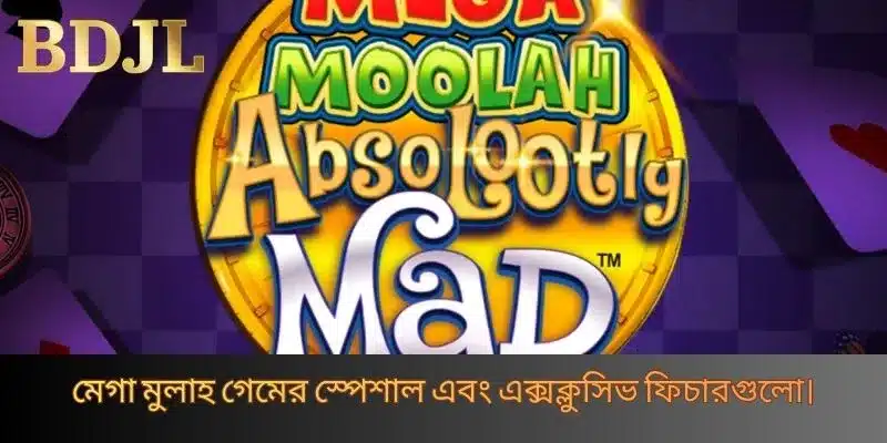 মেগা মুলাহ গেমের স্পেশাল এবং এক্সক্লুসিভ ফিচারগুলো।